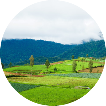 land photo